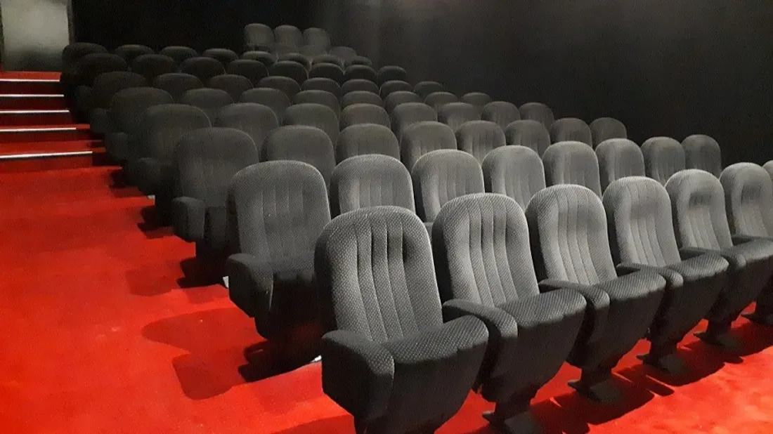 Quetigny : 8 films en avant-premières au Ciné Cap Vert